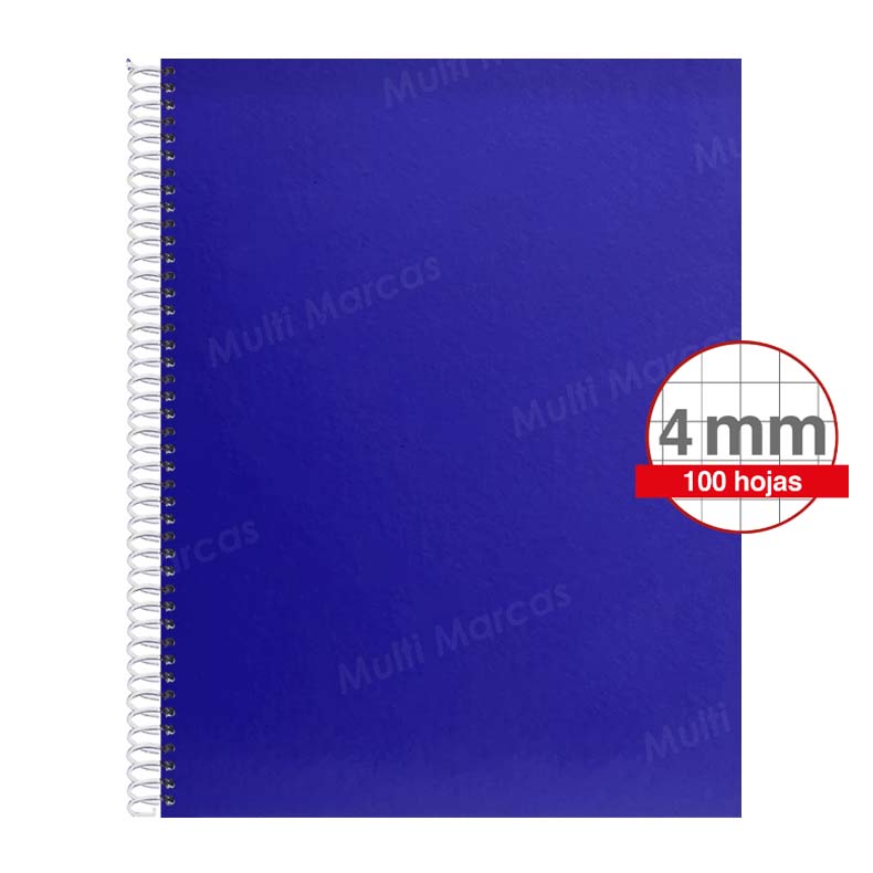 Cuaderno Artesanal de 100 Hojas, Tamaño Carta Cuadrícula 4 mm / Intermedia / Elva,  Anillo Plástico, Tapa con Diseño