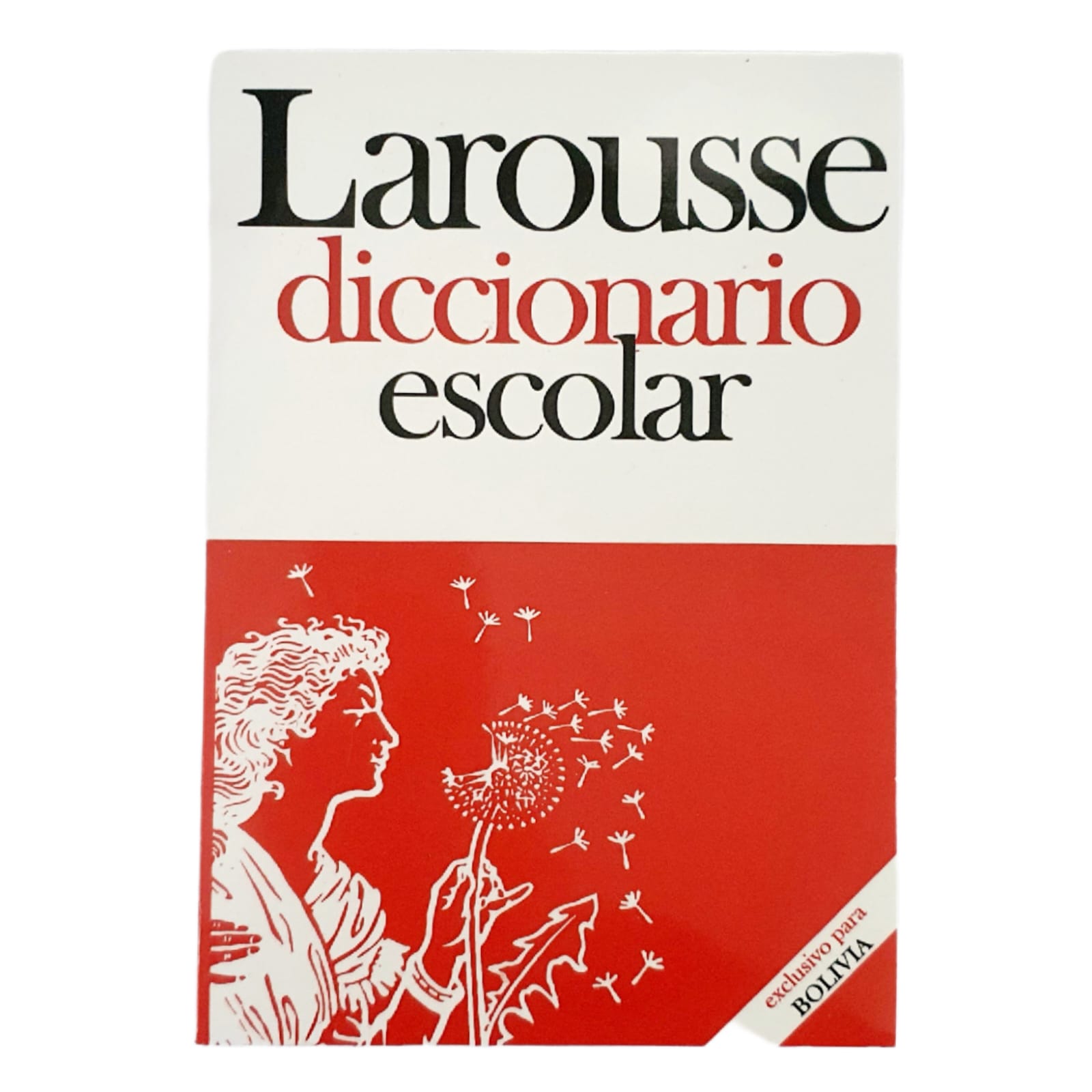 Diccionario Larousse Escolar