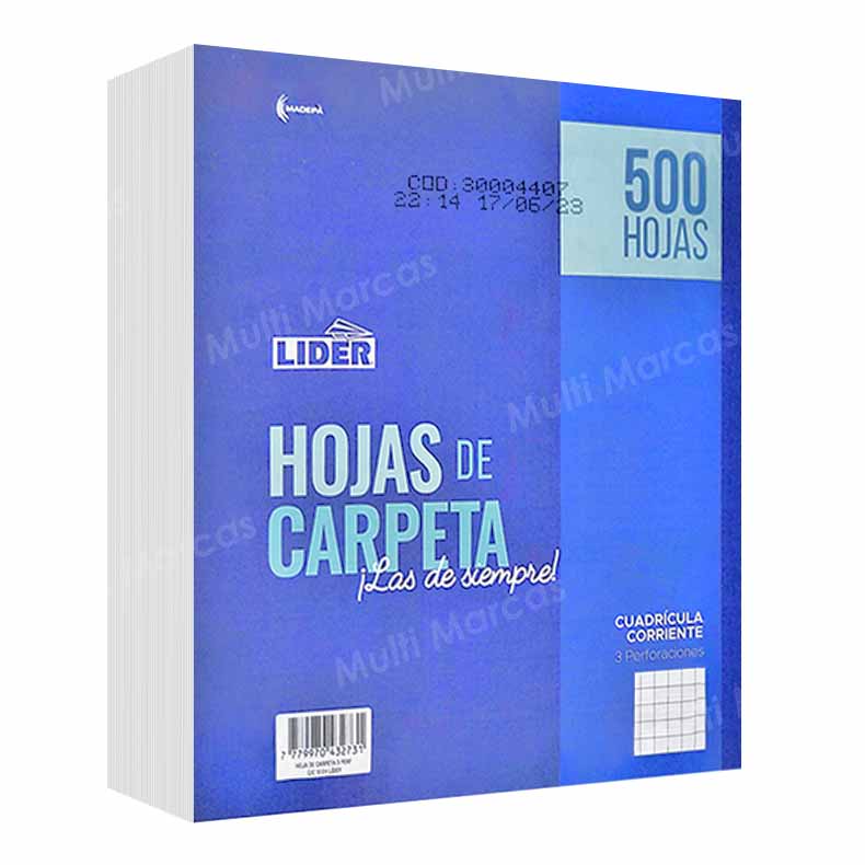 100 Hojas de Carpeta Cuadricula Intermedia / Elva