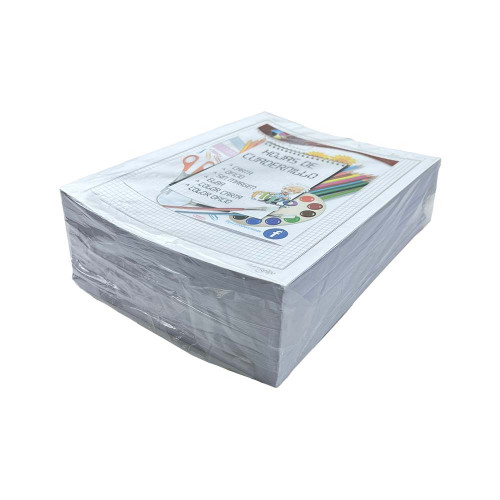 Paquete de 1000 Hojas de Cuadernillo Cuadrícula 0.5 mm. (Normal) Color Plomo Tamaño Oficio