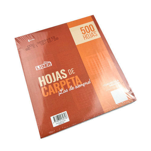 100 Hojas de Carpeta Cuadricula Intermedia / Elva