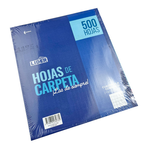 100 Hojas de Carpeta  Cuadricula Corriente - 5 mm.